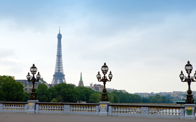 Fototapeta na wymiar Aleksander III Most przez rzekę Seine w Paryżu