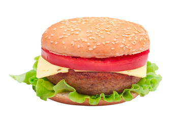 Hamburger isolated