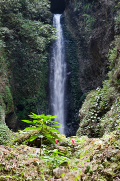 Bali, Indonesia, fall Git-Git