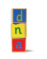 wooden blocks with letters dna