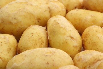 Golden Charlotte Potatoes as a Background