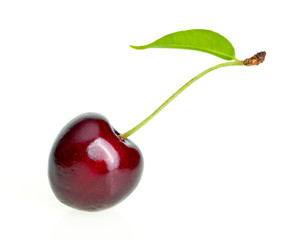 Cherry on white