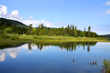 Reflections of trees in the beautiful lake