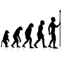 human evolution.Vector