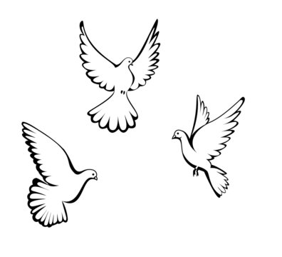 Three dove
