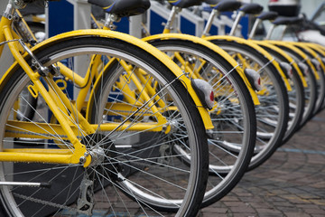 Various yellow bikes in a row