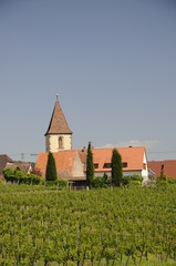 Fototapeta na wymiar Weiberge und Kirche in Burkheim am Kaiserstuhl