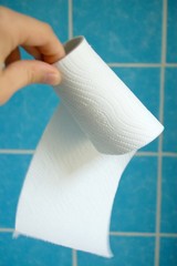 Hand hält Toilettenpapier