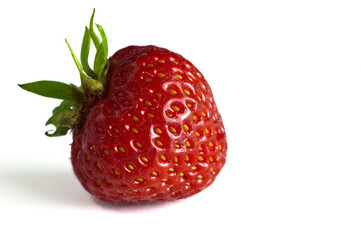 Erdbeere solo