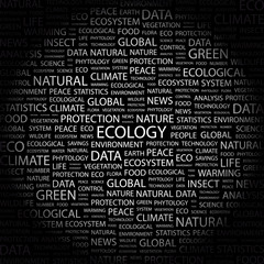 ECOLOGY. Collage with association terms on black background.