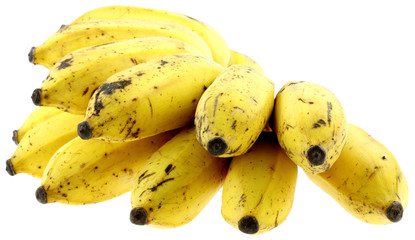 petites bananes, fond blanc