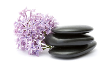 Obraz na płótnie Canvas massage stones and lilac flowers