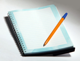 Ball point ink pen over a ruled notebook paper sheet