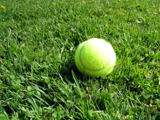 Tennisball_1
