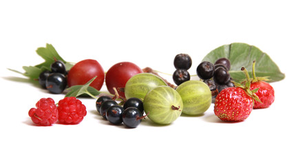 Obraz na płótnie Canvas Owoców i jagód Lato