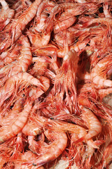 Tapis de crevettes roses au Marché Olivar, Palma de Majorque
