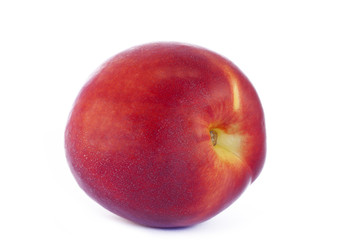 nectarine