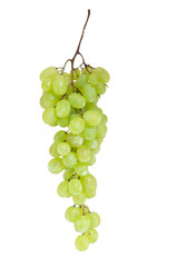 grapes