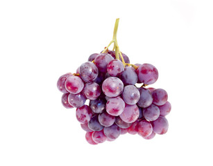 Fototapeta premium grapes