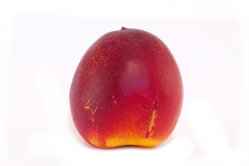 Nectarine