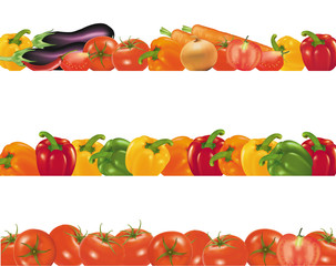 Vegetable design borders. Photo-realistic vector.