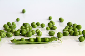 erbsen 17
