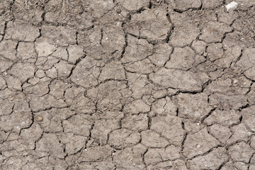 Textur eines ausgetrockneten Bodens