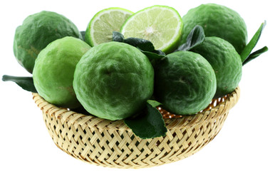 citrus hystrix, combava, fond blanc