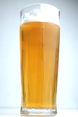 beer glass