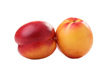 Nectarines