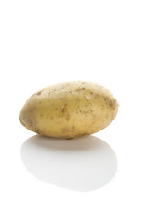 Potato on a white background