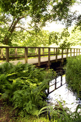 Wanderweg &uuml;ber die Feuchtwiesen in Ferch