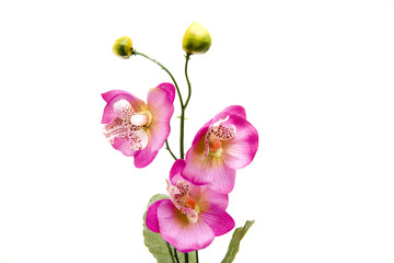 Fototapeta na wymiar Künstliche Orchidee
