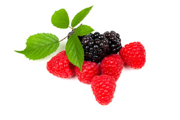 Berries