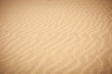 Rippled sand texture