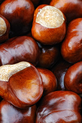 Marrons châtaignes