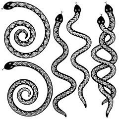 Snake designs