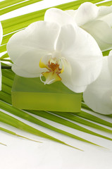 soap with orchid on palm leaf