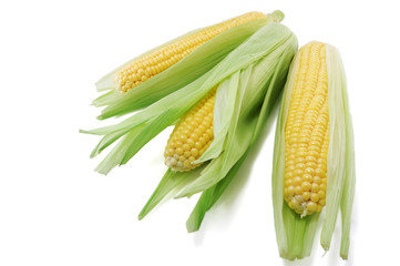Corn ears