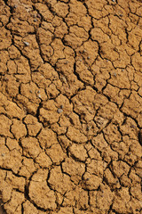 Cracked dry ground texture