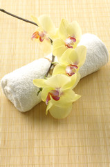 Fototapeta na wymiar Spa concept white towel with orchid