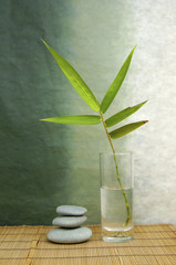 Bamboo leaf in vase with stacked stones