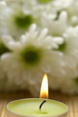 Fototapeta na wymiar candle and daisy