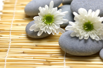 Fototapeta na wymiar Rocks and flowers on bamboo mat