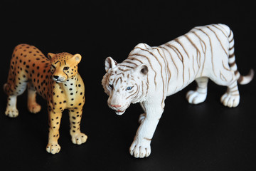 Tigre blanc et guépard
