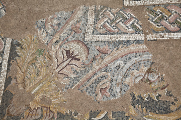 Mosaics at The Great Baths in Dion