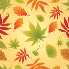 Fototapeta na wymiar Seamless Background - Autumn Leaves. Thanksgiving