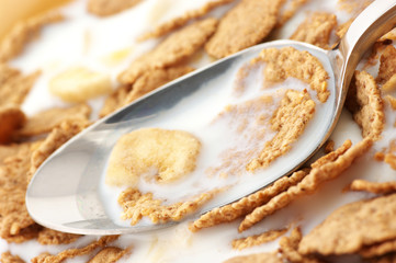 Breakfast cereal with milk close-up