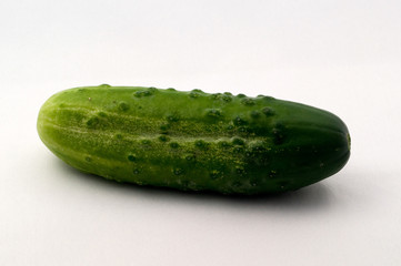 Cucumber