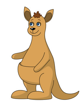 Kangaroo, isolated